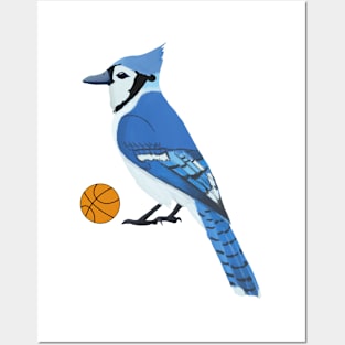 Basketball Blue Jay Posters and Art